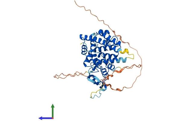 ESRRA Protein (AA 1-422) (His tag)