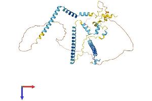 CWC25 Protein (AA 1-425) (His tag)