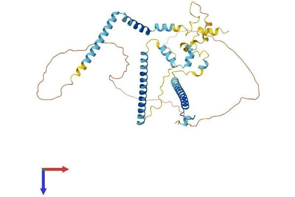 CWC25 Protein (AA 1-425) (His tag)