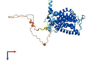 SGPP1 Protein (AA 1-441) (His tag)