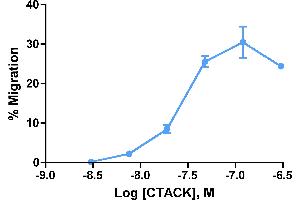 Cells expressing recombinant CCR1 were assayed for migration through a transwell filter at various concentrations of MIP-1α. (CCL27 Protein (AA 25-112))