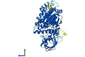 AlphaFold protein structure predicition of Human Recombinant POLE2 Protein, UniprotID P56282 (POLE2 Protein (AA 1-527) (His tag))