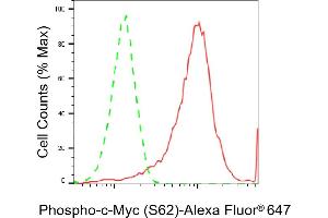 Flow cytometric analysis of Phospho-c-Myc (S62) expression in HeLa cells using Phospho-c-Myc (S62) antibody (ABIN7799503), 1:2,000). (Rekombinanter c-MYC Antikörper  (pSer62))