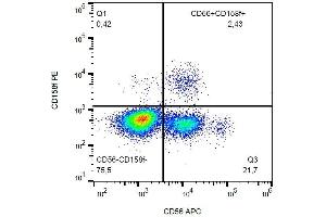 Flow Cytometry (FACS) image for anti-Killer Cell Immunoglobulin-Like Receptor, Two Domains, Long Cytoplasmic Tail, 5A (KIR2DL5A) antibody (PE) (ABIN2749111)