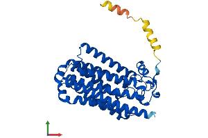 Protein Structure (PS) image for Progestin and AdipoQ Receptor Family Member VIII (PAQR8) (AA 1-354) protein (His tag) (ABIN7549511)
