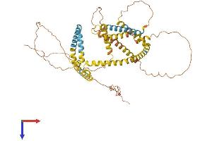 PLIN1 Protein (AA 1-517) (His tag)
