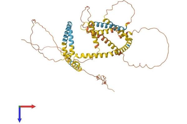 PLIN1 Protein (AA 1-517) (His tag)