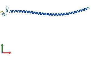 Protein Structure (PS) image for Intraflagellar Transport 20 Homolog (IFT20) (AA 1-132) protein (His tag) (ABIN7557648)