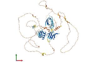 Protein Structure (PS) image for Dishevelled, Dsh Homolog 2 (Drosophila) (DVL2) (AA 1-736) protein (His tag) (ABIN7563881)
