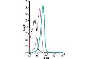 Cell surface detection of monocarboxylate transporter 1 by direct flow cytometry in live intact human Jurkat T-cell leukemia cells: + Rabbit IgG Isotype control-APC (ABIN7582043).