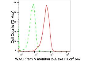 Flow cytometric analysis of WASP family member 2 expression in HAP-1 cells using WASP family member 2 antibody (ABIN7800985), 1:2,000). (Rekombinanter WASF2 Antikörper)