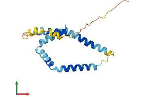 Protein Structure (PS) image for FUN14 Domain Containing 1 (FUNDC1) (AA 1-155) protein (His tag) (ABIN7547810)