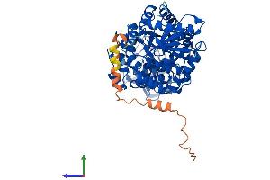 Protein Structure (PS) image for Pyruvate Kinase, Liver and RBC (PKLR) (AA 1-574) protein (His tag) (ABIN7548752)