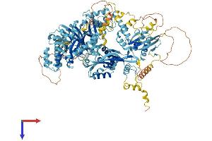 Ephrin A1 Protein (EFNA1) (AA 1-1127) (His tag)