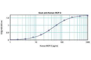 Image no. 3 for anti-Chemokine (C-C Motif) Ligand 7 (CCL7) antibody (ABIN465565) (CCL7 Antikörper)