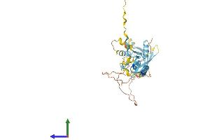 Protein Structure (PS) image for Ring Finger Protein 215 (RNF215) (AA 1-377) protein (His tag) (ABIN7551494)