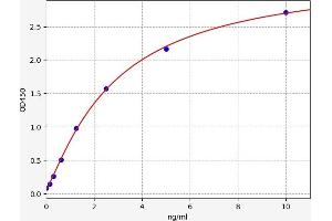 Typical standard curve (Glutathione Peroxidase 1 ELISA Kit)