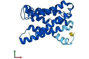 Protein Structure (PS) image for KDEL (Lys-Asp-Glu-Leu) Endoplasmic Reticulum Protein Retention Receptor 2 (KDELR2) (AA 1-212) protein (His tag) (ABIN7560559)