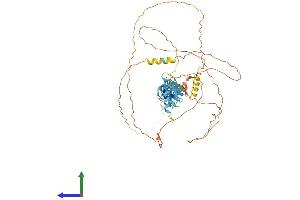 Protein Structure (PS) image for Ajuba LIM Protein (AJUBA) (AA 1-547) protein (His tag) (ABIN7564811)
