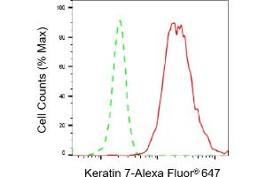 Flow cytometric analysis of Keratin 7 expression in HepG2 cells using Keratin 7 antibody (ABIN7799188), 1:2,000). (Rekombinanter Cytokeratin 7 Antikörper)