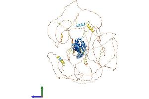 Protein Structure (PS) image for E2F Transcription Factor 7 (E2F7) (AA 1-904) protein (His tag) (ABIN7564148)