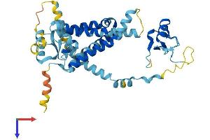 PEX12 Protein (AA 1-359) (His tag)