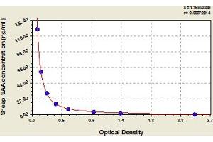 Typical Standard Curve (SAA1 ELISA Kit)