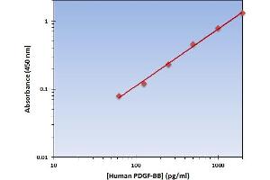 PDGF-BB Homodimer ELISA Kit