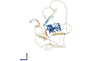 Protein Structure (PS) image for V-Myb Myeloblastosis Viral Oncogene Homolog (Avian) (MYB) (AA 1-636) protein (His tag) (ABIN7562753)