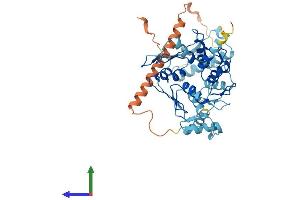 AlphaFold protein structure predicition of Human Recombinant ZNF485 Protein, UniprotID Q8NCK3