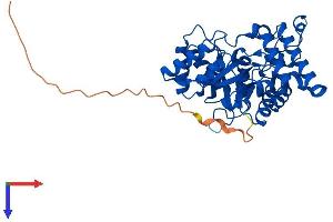 AKR7A2 Protein (AA 1-367) (His tag)