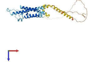 Protein Structure (PS) image for Membrane-Spanning 4-Domains, Subfamily A, Member 1 (MS4A1) (AA 1-297) protein (His tag) (ABIN7553297)