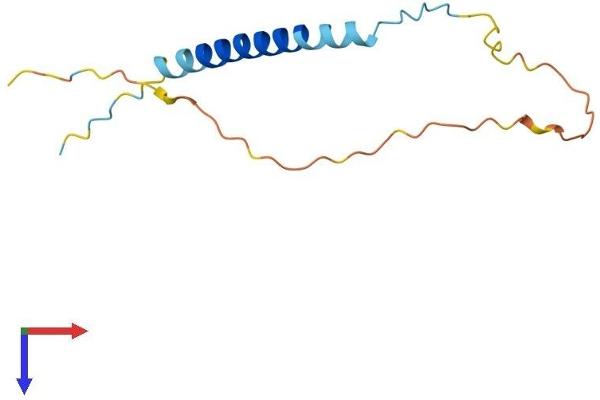 TCEAL8 Protein (AA 1-117) (His tag)
