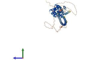 Protein Structure (PS) image for Coiled-Coil Domain Containing 138 (CCDC138) (AA 1-665) protein (His tag) (ABIN7553140)