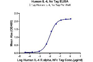 Immobilized Human IL-4, No Tag at 1 μg/mL (100 μL/well) on the plate. (IL-4 Protein (AA 25-153))