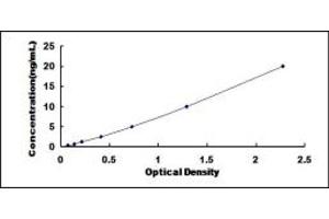 Typical standard curve (RAB37 ELISA Kit)