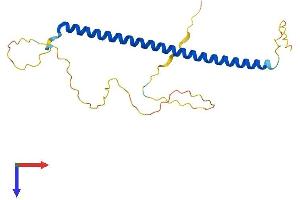 BLOC1S3 Protein (AA 1-202) (His tag)