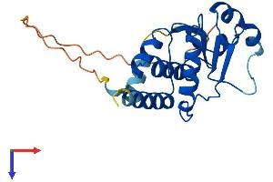 DUSP26 Protein (AA 1-211) (His tag)