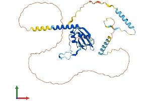 Protein Structure (PS) image for Chromosome 7 Open Reading Frame 64 (C7orf64) (AA 1-367) protein (His tag) (ABIN7551294)