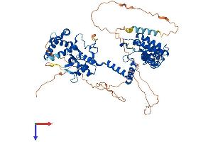 RGS Protein (AA 1-675) (His tag)