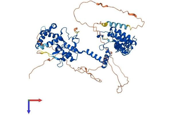 RGS Protein (AA 1-675) (His tag)