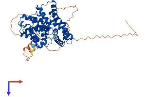 PDE7B Protein (AA 1-450) (His tag)