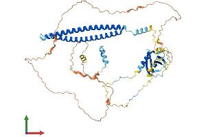 AlphaFold protein structure predicition of Mouse Recombinant Palmd Protein, UniprotID Q9JHU2