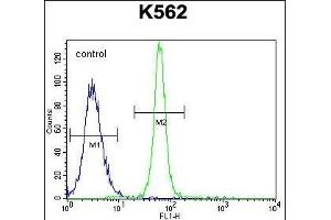 Flow Cytometry (FACS) image for anti-Leucine-Rich Repeat, Immunoglobulin-Like and Transmembrane Domains 1 (LRIT1) (AA 594-622), (C-Term) antibody (ABIN655361)