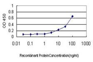 Detection limit for recombinant GST tagged ATG12 is approximately 1ng/ml as a capture antibody. (ATG12 Antikörper  (AA 1-74))