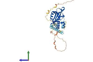 AlphaFold protein structure predicition of Human Recombinant AEN Protein, UniprotID Q8WTP8