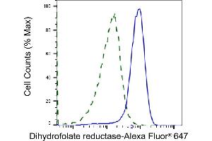 Validation of Dihydrofolate reductase knockdown using flow cytometry. (Rekombinanter Dihydrofolate Reductase Antikörper)