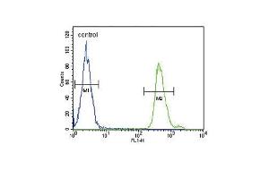 SD3- Antibody (ABIN653953 and ABIN2843175) flow cytometric analysis of MDA-M cells (right histogram) compared to a negative control cell (left histogram). (SMAD3 Antikörper  (AA 186-215))