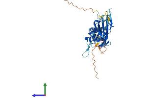 Protein Structure (PS) image for Potassium Inwardly-Rectifying Channel, Subfamily J, Member 13 (KCNJ13) (AA 1-360) protein (His tag) (ABIN7554340)
