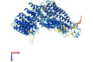 INTS7 Protein (AA 1-966) (His tag)